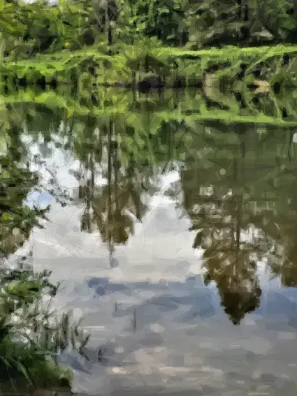 lake reflection sample